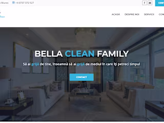 Cleaning Firm Website
