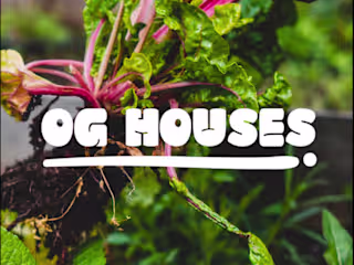 Visual identity design for OG Houses