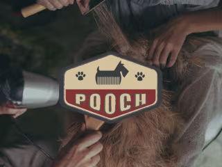 POOCH: Dog Parlor Brand Identity