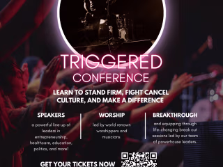 Graphic Design for TRIGGERED Conference