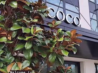 Coco Bistro Local Reporter