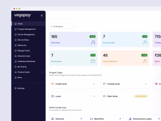 Vegapay: Product, Website and Branding