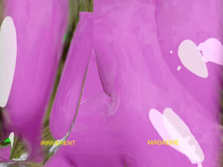 MAG - 3D animation for social media launch