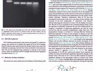 writing research article for Scientific Journal
