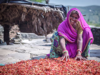 Content Writing + Designing for NGO
