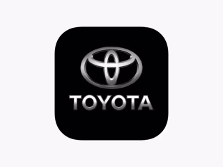 Toyota DVR 4+