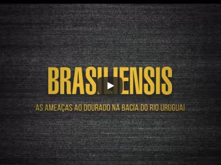 Brasiliensis: Social-environmental documentary