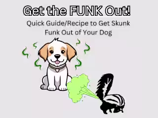 Get the FUNK Out! Quick Guide/Recipe for a Skunk Sprayed Do