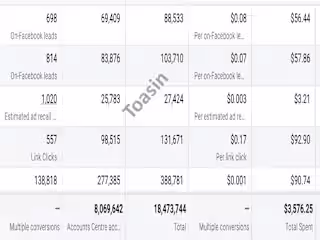 Successful Facebook Leads Ads Campaigns for some of my Clients