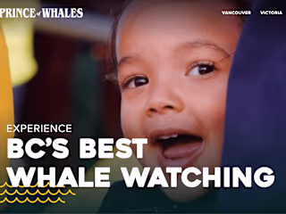 Prince of Whales - Website Development and custom chatbot