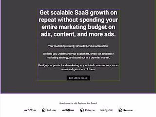 Website for a B2B SaaS consultancy, created as a practice piece