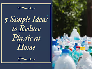 SEO Blog Writing: 5 Simple Ideas to Reduce Plastic at Home