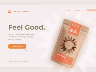 Developed a Brand Identity, Web UX/UI, and Packaging Design