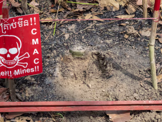 8 Not-So-Fun Facts about Landmines (and 3 More Hopeful Ones)