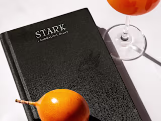 STARK | Journals | Brand Identity