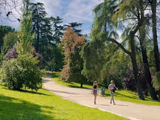 Monday in Madrid