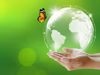 Reading the Pattern: The Butterfly Effect and COVID-19 Patients