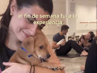 UGC Content - Puppy Yoga Classes in Buenos Aires