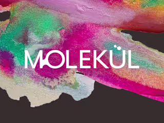 Molekül Artisan Chocolate