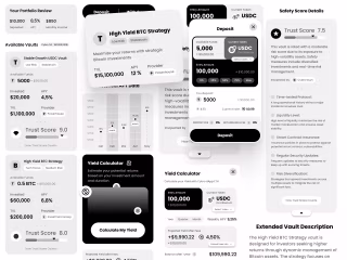 UX/UI Design for a DApp Investment Platform in Just Two Weeks