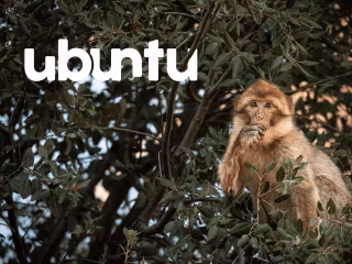 Ubuntu Magazine - Brand Identity