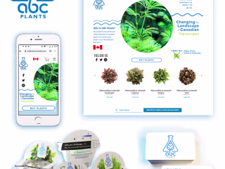Branding for ABC Plants