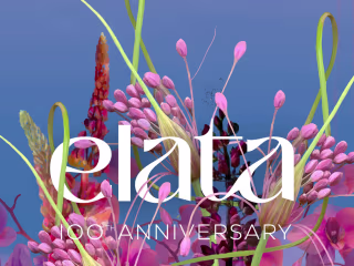 Elata 1923 - motion design project