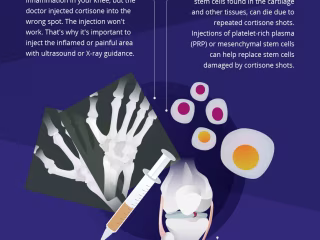 Infographics 📊