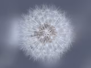 Are You A HSP (Highly-Sensitive Person)?