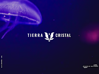 Brand Identity for Holistic Studio