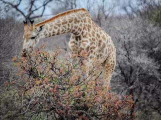  How to Enjoy Short Trips for Nature Lovers