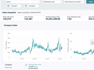Managed Amazon stores and increased sales to 7 figures per year