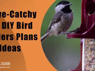 19 Eye-Catchy Free DIY Bird Feeders Plans and Ideas