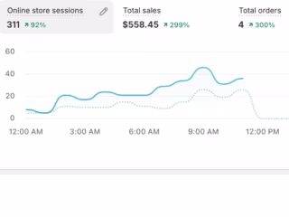 SEO Optimization Success Story