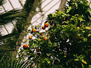 The 10 Best Things To Do in Valencia: Travel Blog to Inspire
