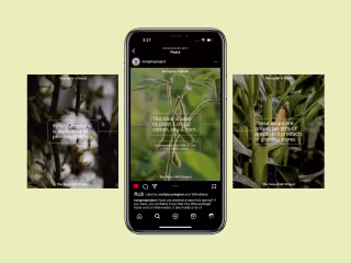 Non-GMO Project | Social Media Management