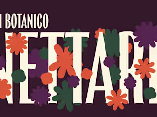 NETTARÉ :: Behance