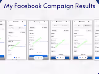 Facebook Campaign Results