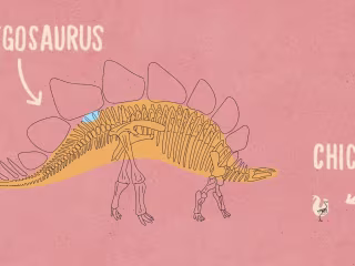The myth of nature’s second brain, exposed [Advertiser content …