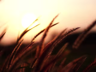 🖼️Be inspired by nature! (Music Video)
