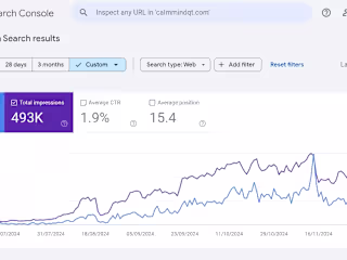Website Traffic Explodes 500% in Just 7 Months with SEO Magic