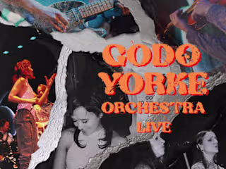 Godo Yorke | Live Gig Mixing