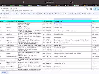 Collect Company Informations into spreadsheets