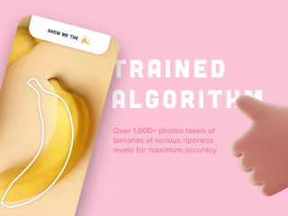 Nanner Scanner