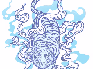 Graphic design and Illustrations