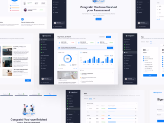 UX Case Study: Building Trust & Financial Literacy