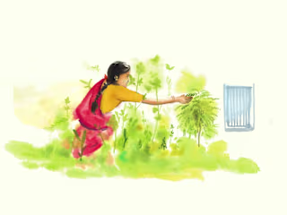 Karivepaku (Curry leaves): A treasure to the Indian kitchen