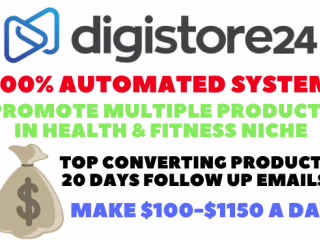 I will build automated digistore24 funnel with followup series 