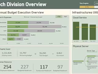 Budget Execution Analysis PowerBI Visualization 
