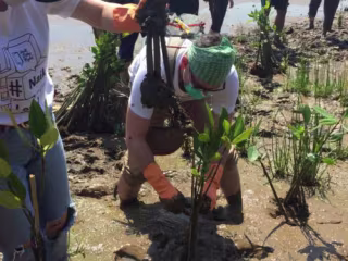 Mitigating Environmental Impacts at Jakarta Bay